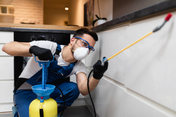 Best Pest Control for Homes  in Farmersville, OH