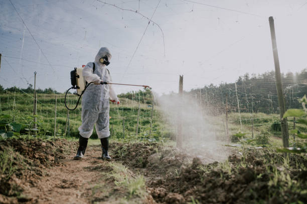Best Best Pest Control Companies  in Farmersville, OH