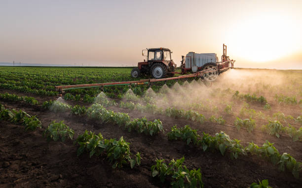 Best Mosquito Control Services  in Farmersville, OH
