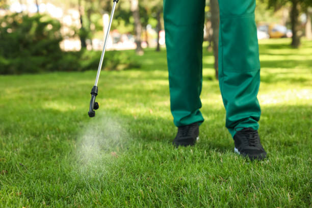 Best Affordable Pest Control Services  in Farmersville, OH
