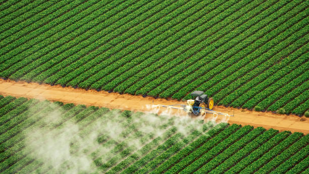 Best Bed Bug Extermination  in Farmersville, OH