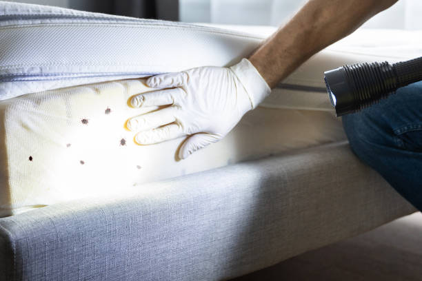 Best Local Pest Control Services  in Farmersville, OH