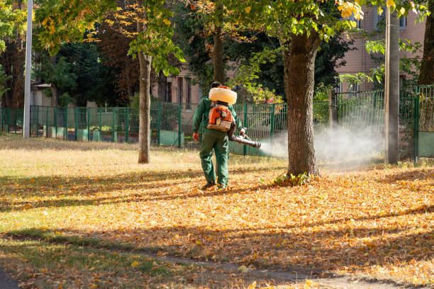 Best Pest Prevention Services  in Farmersville, OH