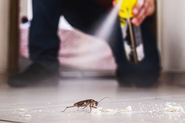 Best Affordable Pest Control Services  in Farmersville, OH