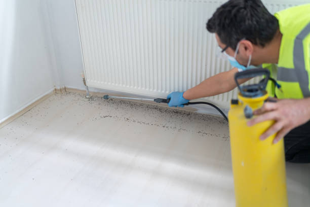 Best Termite Control Services  in Farmersville, OH