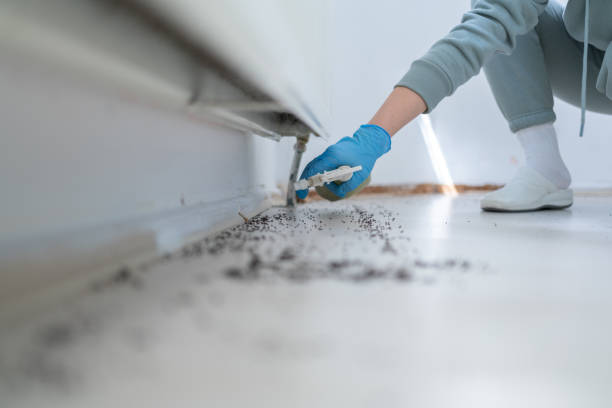  Farmersville, OH Pest Control Pros