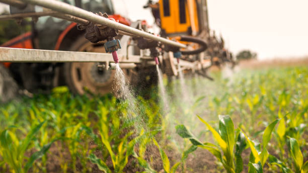 Pest Control for Restaurants in Farmersville, OH